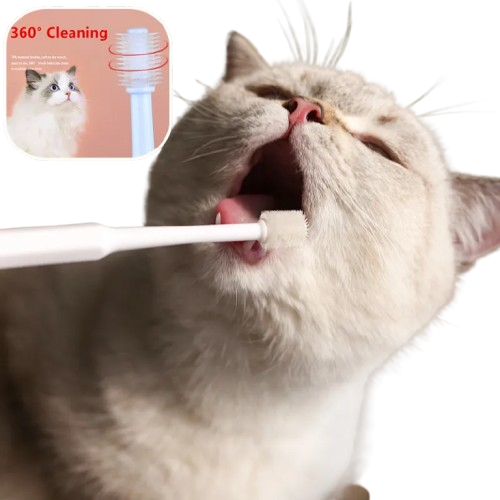 Cat Toothbrush