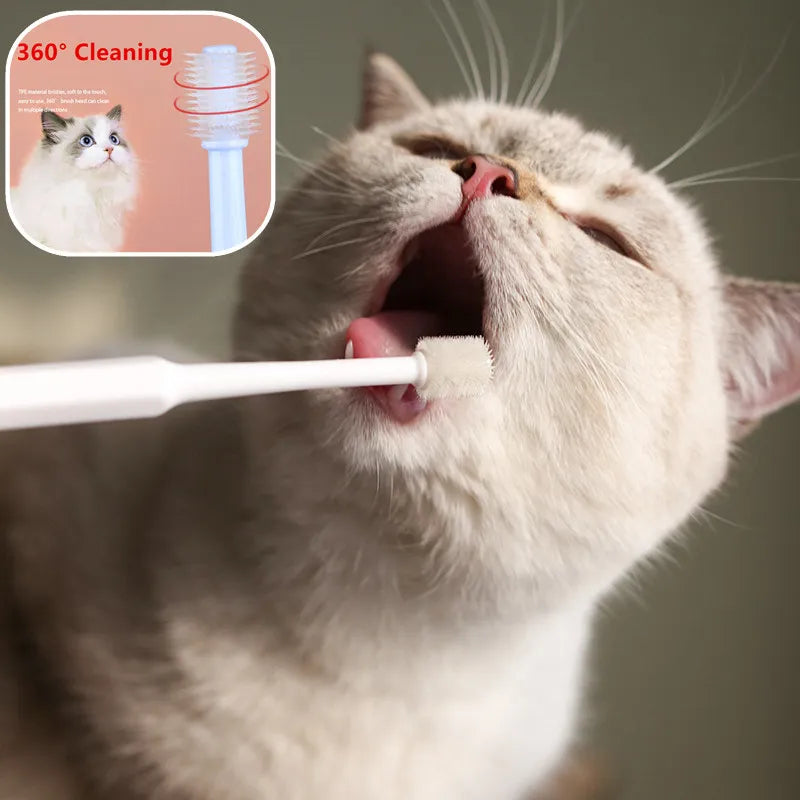 Cat Toothbrush