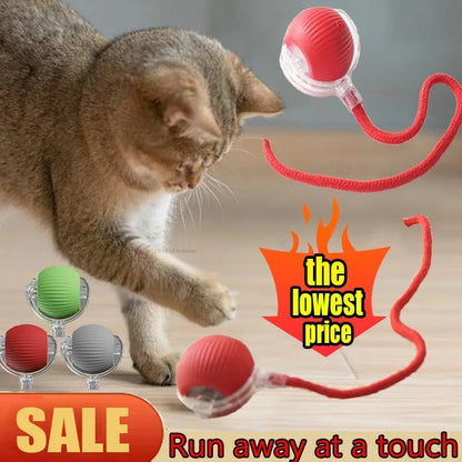 Interactive Cat Ball