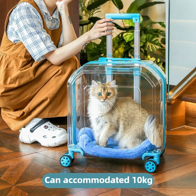 All-in-One Pet Travel Case