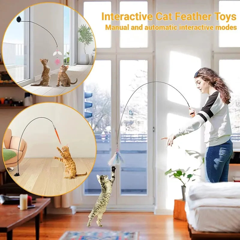 Interactive Feather Toy