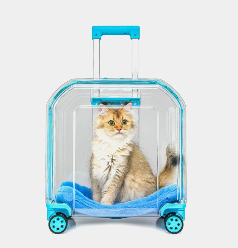 All-in-One Pet Travel Case