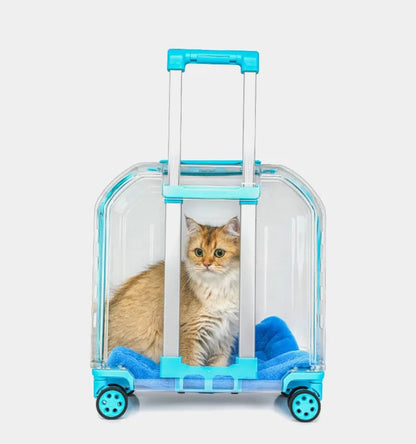 All-in-One Pet Travel Case