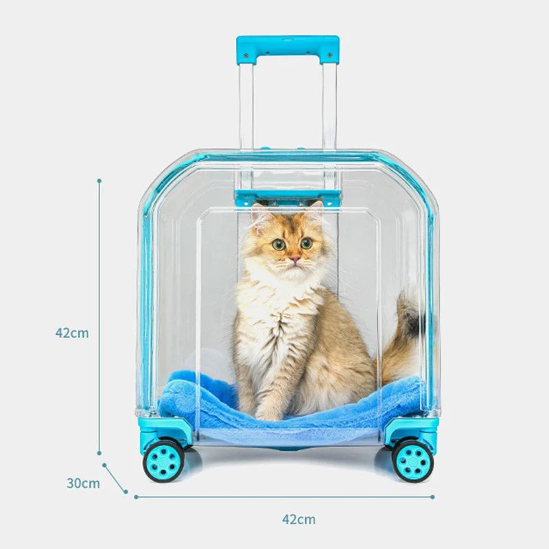 All-in-One Pet Travel Case