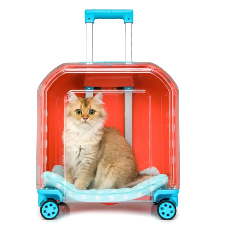 All-in-One Pet Travel Case