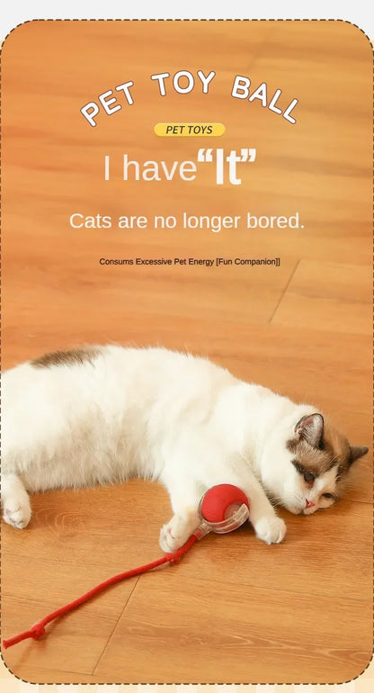 Interactive Cat Ball