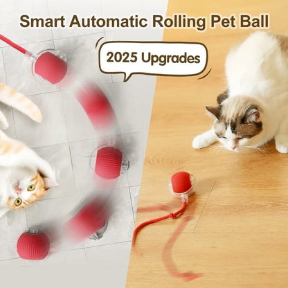 Interactive Cat Ball