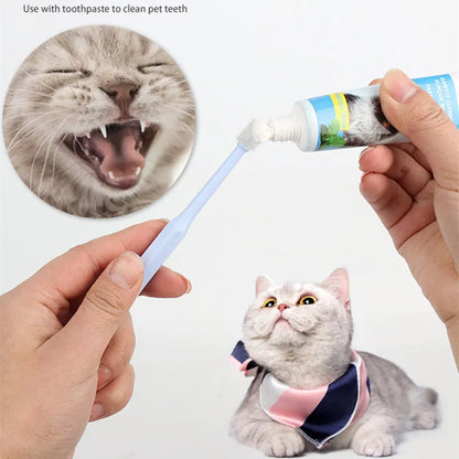 Cat Toothbrush