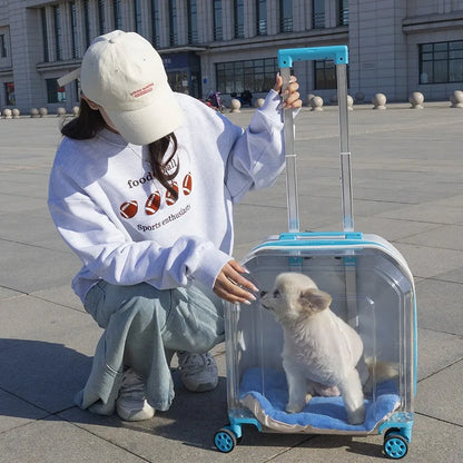 All-in-One Pet Travel Case