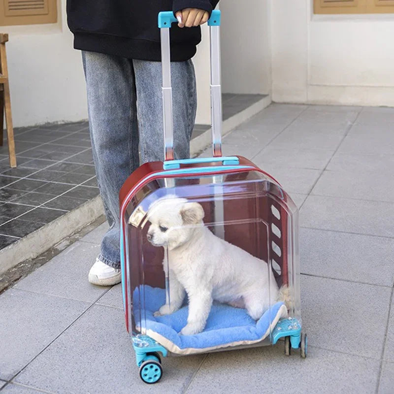 All-in-One Pet Travel Case