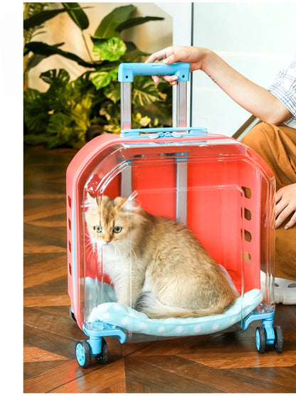 All-in-One Pet Travel Case