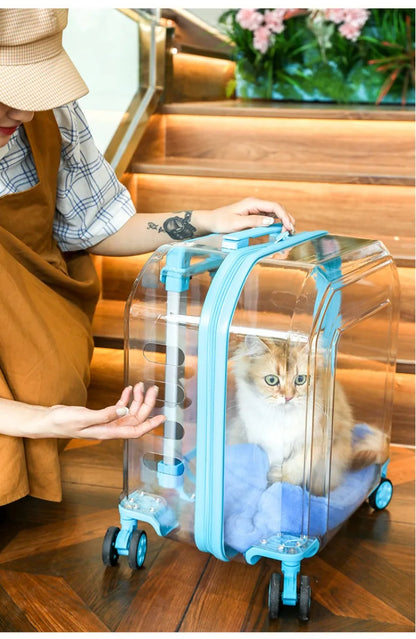 All-in-One Pet Travel Case