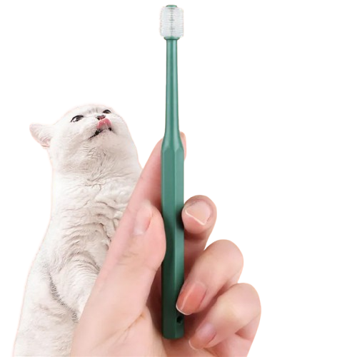 Cat Toothbrush