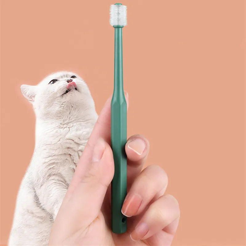 Cat Toothbrush