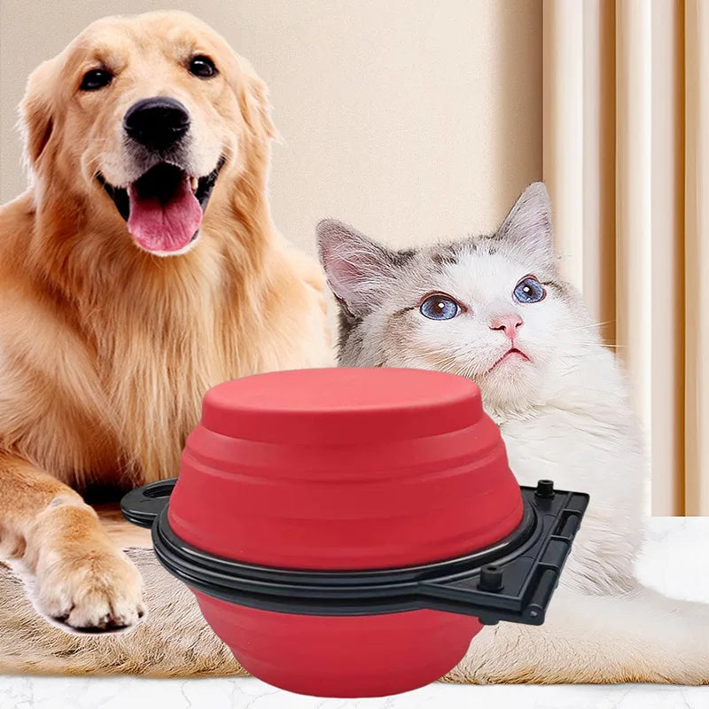 Foldable Pet Bowl for Travel – Dual Food & Water Design