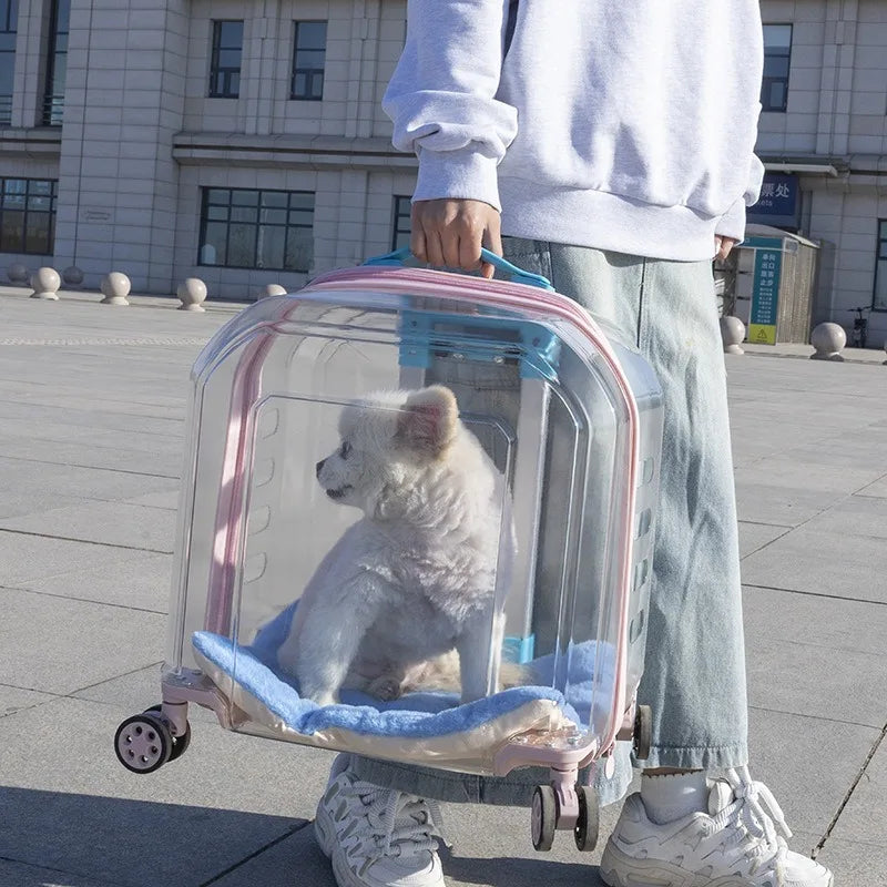 All-in-One Pet Travel Case