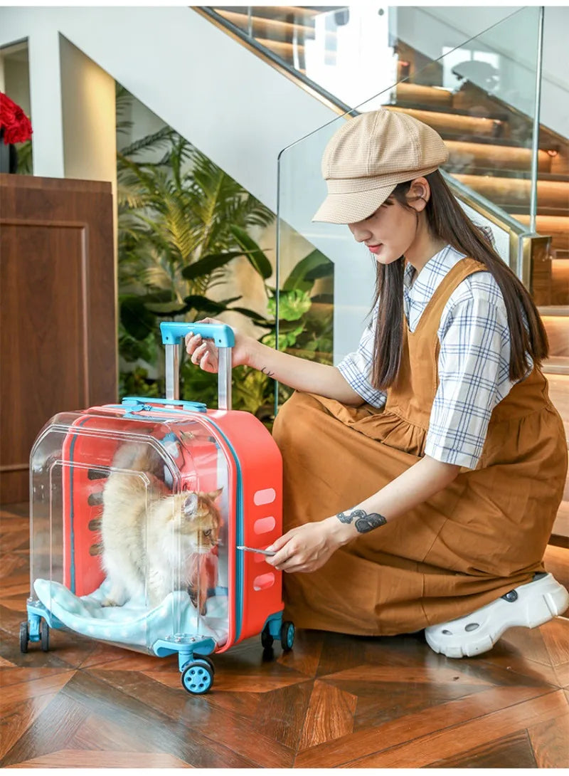 All-in-One Pet Travel Case