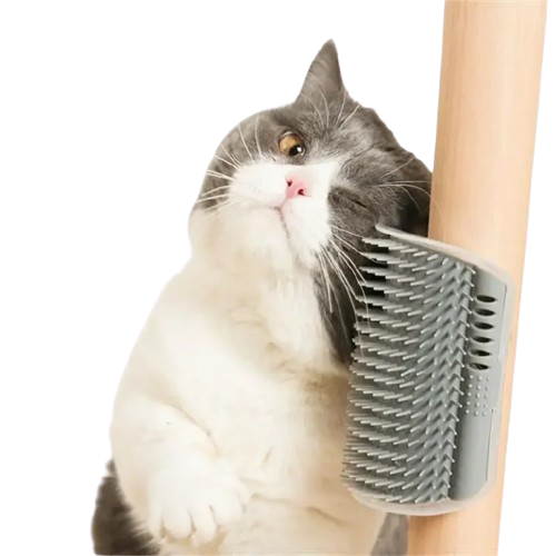 Cat Corner Brush