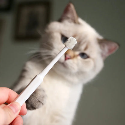 Cat Toothbrush