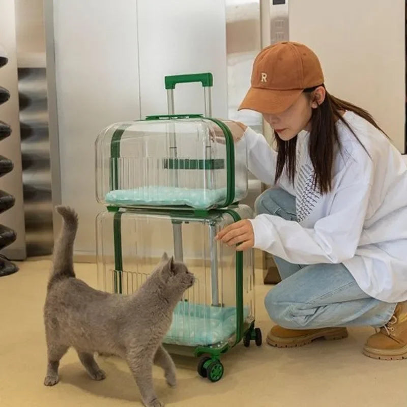 Cat Trolley