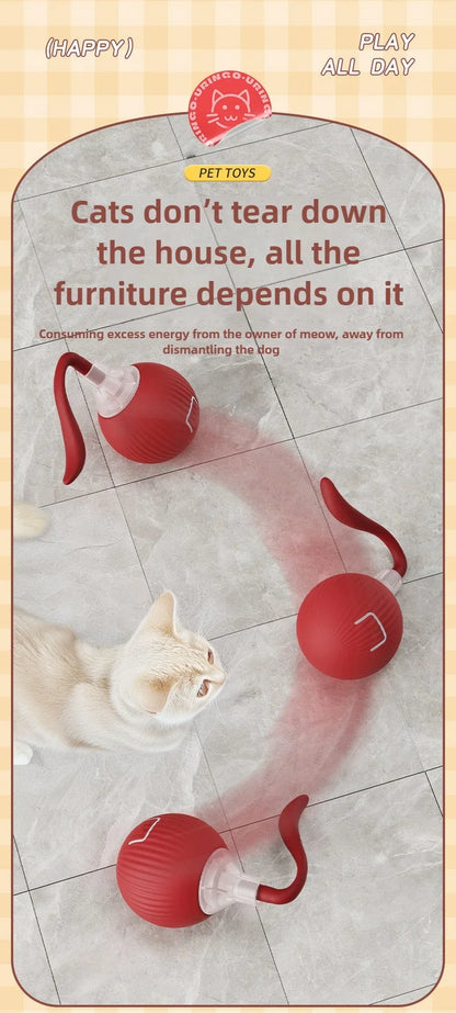 Interactive Cat Ball