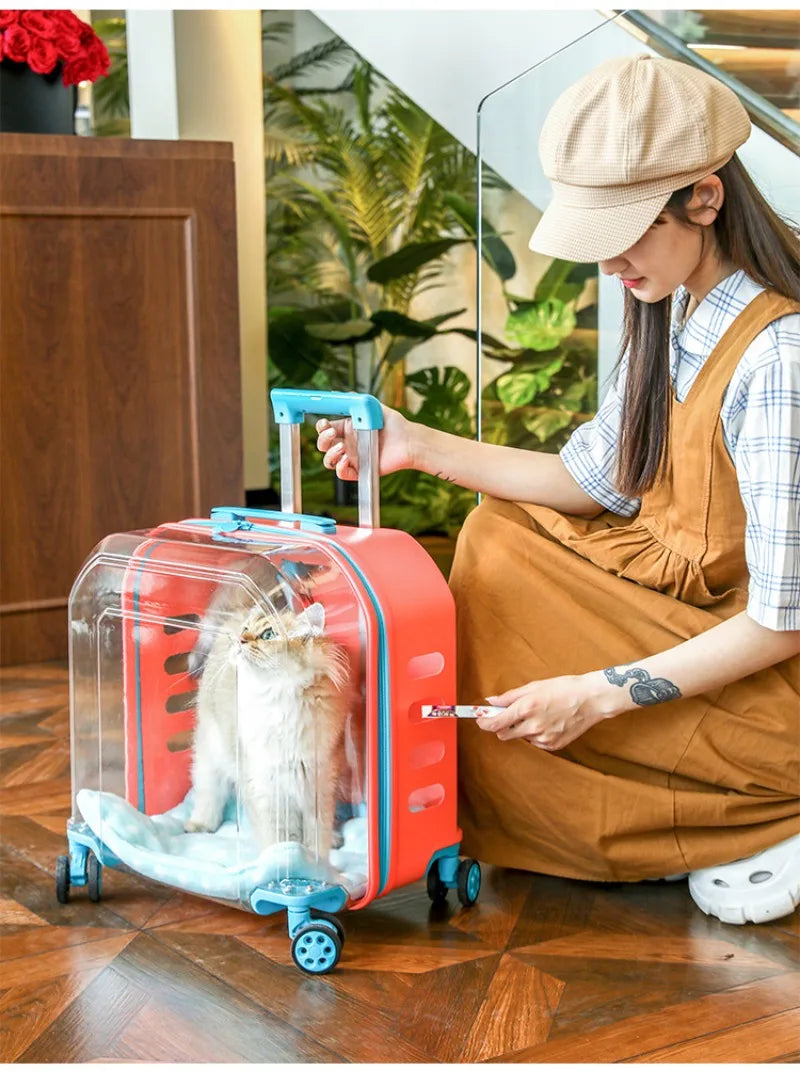 All-in-One Pet Travel Case