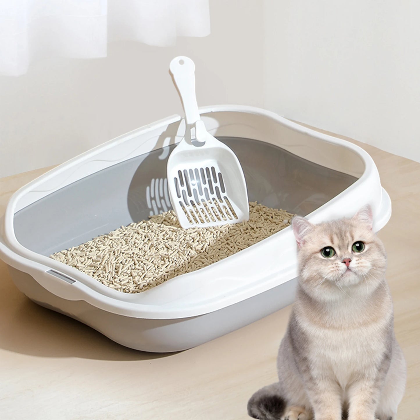 Cat Litter Box