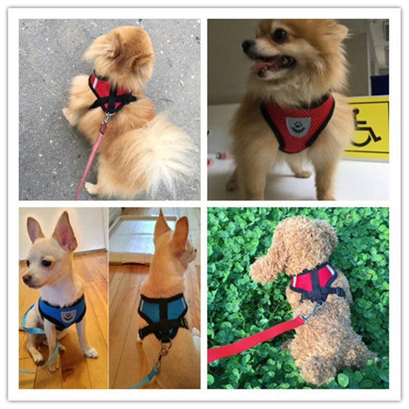 Cat Dog Harness