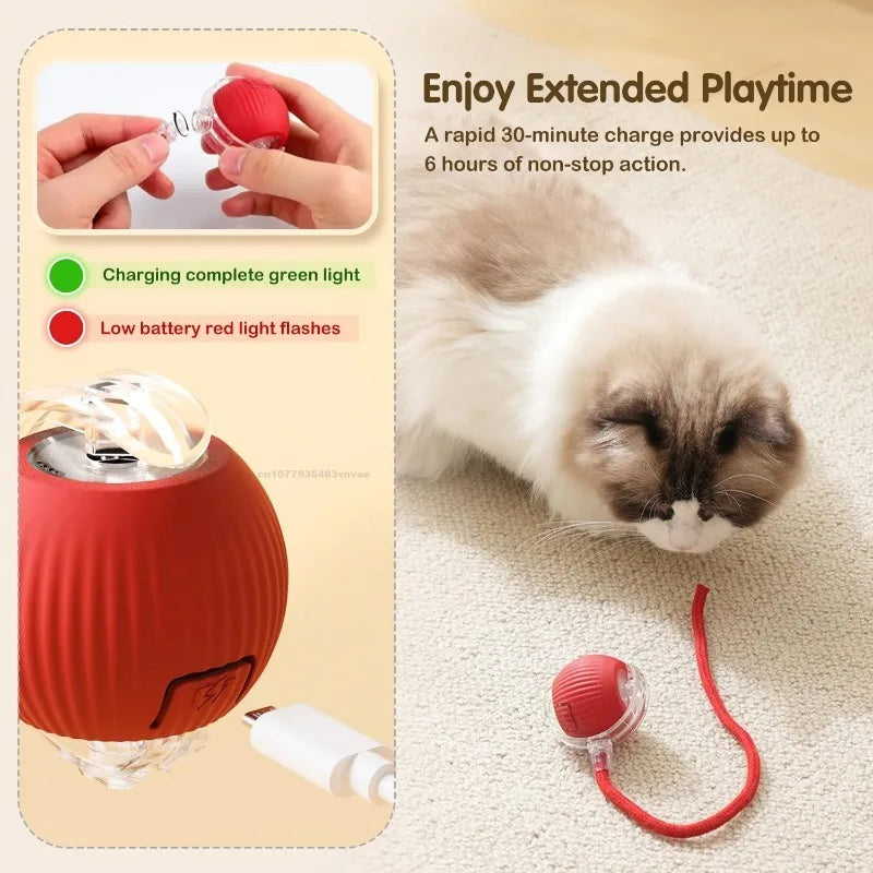 Interactive Cat Ball