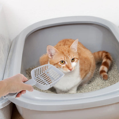 Cat Litter Scoop