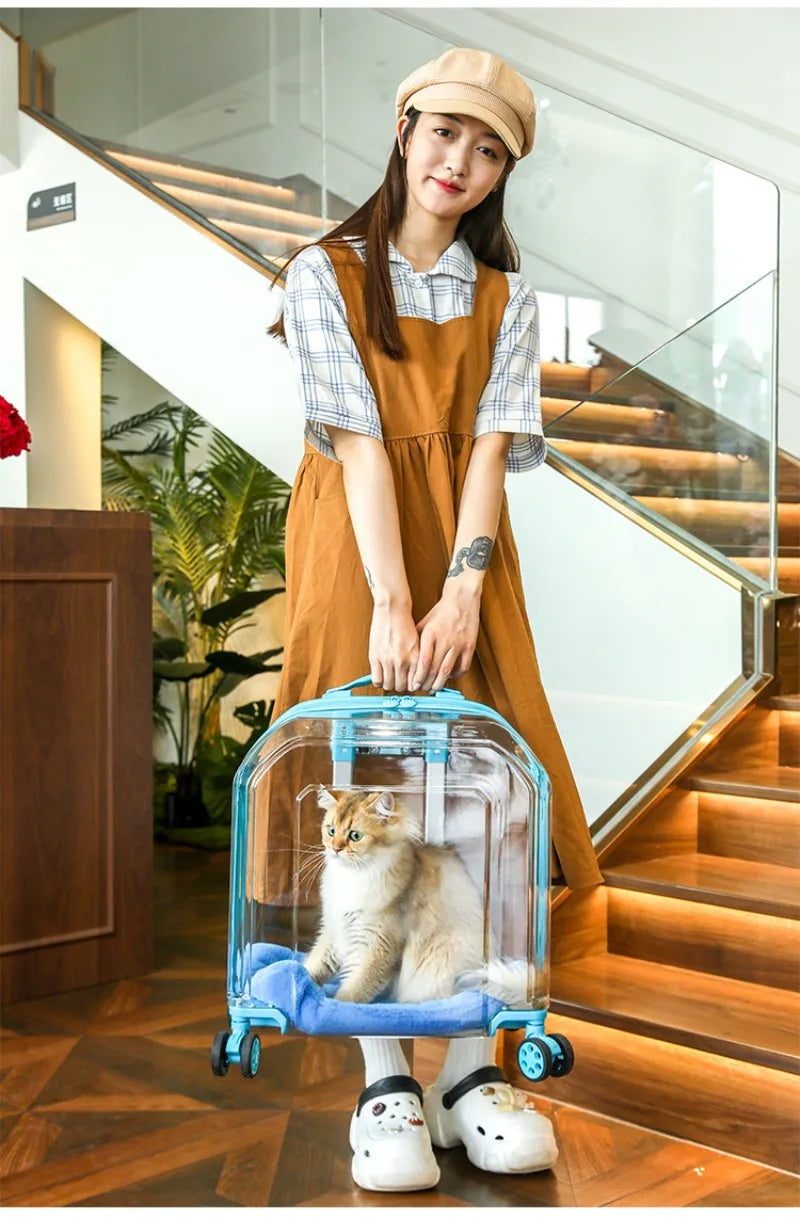 All-in-One Pet Travel Case