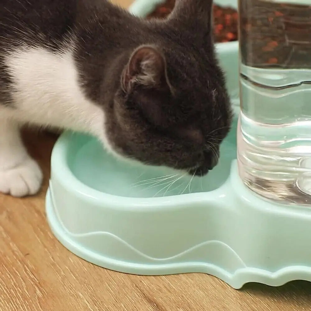 Pet Feeder Fountain