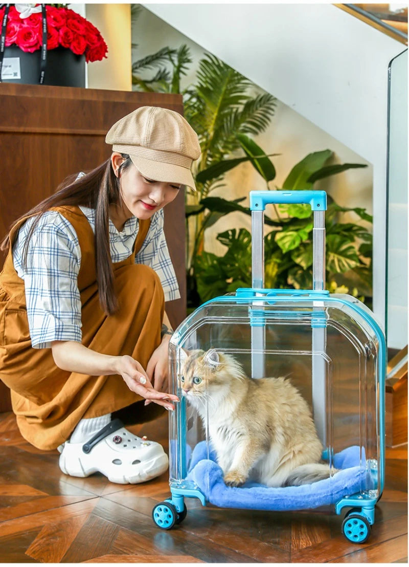 All-in-One Pet Travel Case