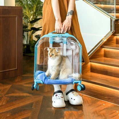 All-in-One Pet Travel Case